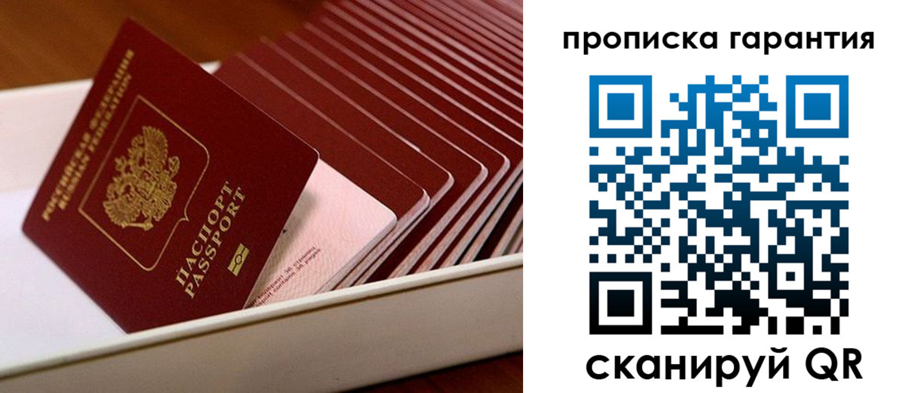 прописка поиск в Мурманской области